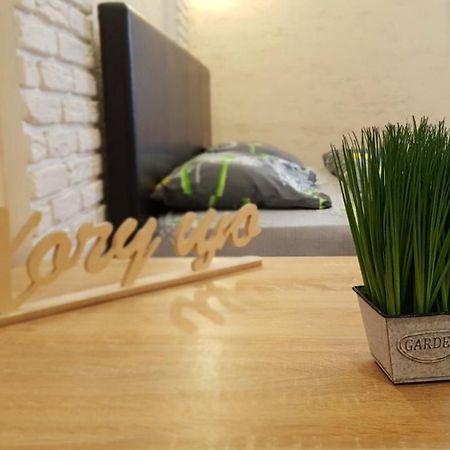 New Luxury Studio Apartment Ivano-Frankivsk Extérieur photo